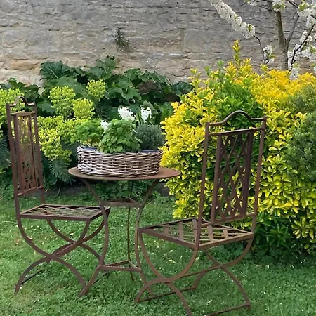 Cocon Du Jardin * Caen